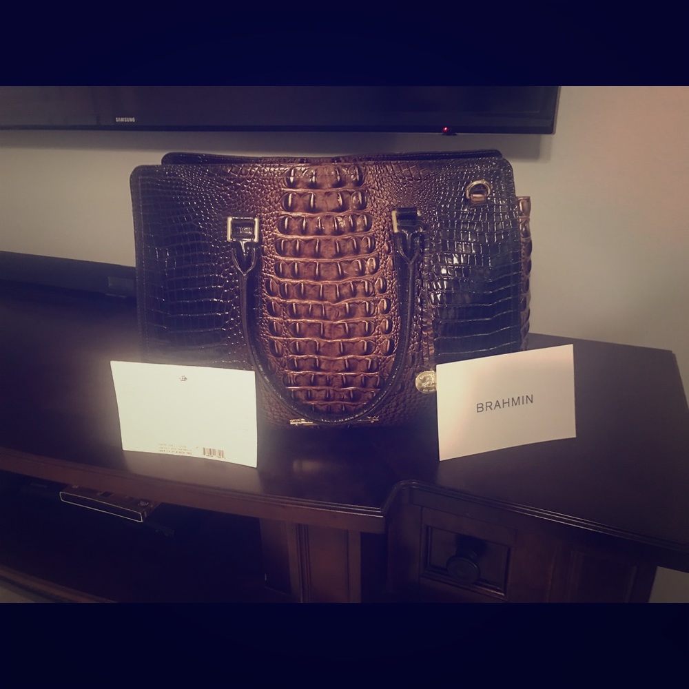 Brahmin Purse